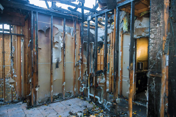 Professional Fire Damage Removal technician working in Lexington, MS
